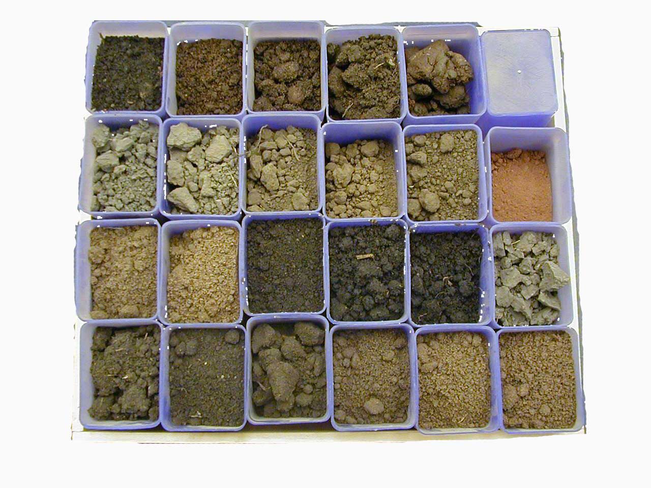 about Us Mk soil